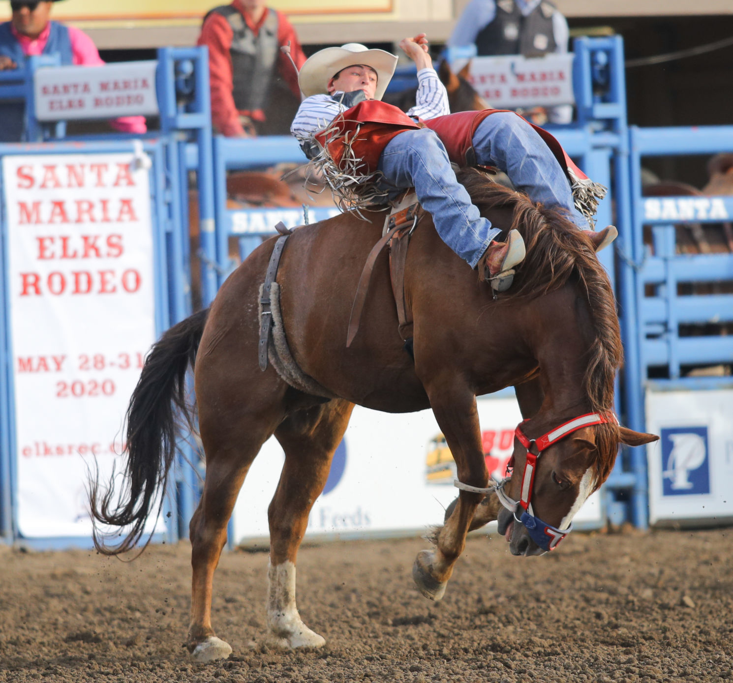 060119 Elks Rodeo Saturday 12.jpg